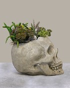 Skull-Garden-6