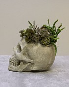 Bone-Garden-3
