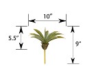 DS-25AE-BGG-12-5