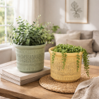 Decorative planters with lush greenery