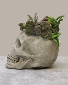 Skull-Garden-2