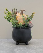 Wicked-Cauldron-5