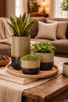Cozy living room with ceramic planters