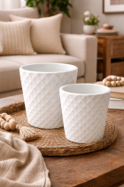 Elegant planters on a coffee table