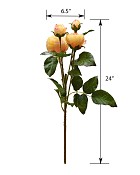 ST-WRO4-YP-24R-55