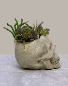 Bone-Garden-6