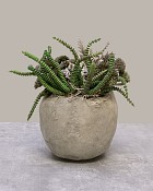 Bone-Garden-4
