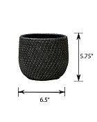CT-4560-BLK-7-55
