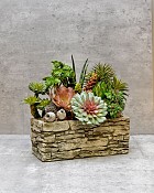 Website-13131313