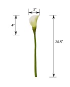 ST-WCL-WH1-205R-55