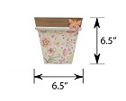 CT-3530-BTF-SM-55
