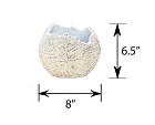 CT-1520-WH-65-55