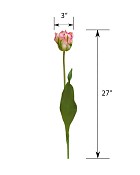 ST-WTPP-MVG-27R-55