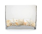 Sea-Shells3