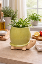 Turtle-shaped planter by the window