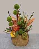 Chestnut-Meadow-6