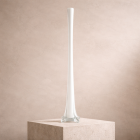 Élégance du vase en verre