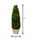 TR-WBXC-GRP-17-55