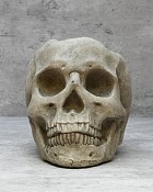 Skelaton1