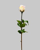 ST-WRO2-PKW-195R-3