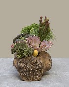 Oak&Hearth-5