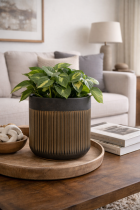 Modern living room with ceramic planter