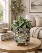 Cozy living room with plant details