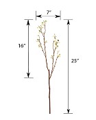 ST-WBL-WH-25R-5