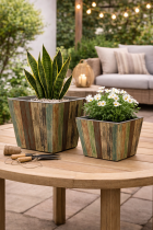 Rustic outdoor planter display with plants