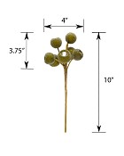 DS-WBPD-GR-10-5