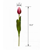 ST-WTP-PUG-155R-55