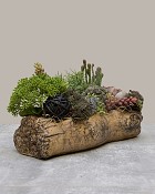 Oak&Hearth-2
