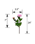 ST-WCA2-PK1-24N-55