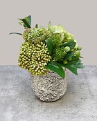 Ceramic Fossil Planter White 6"