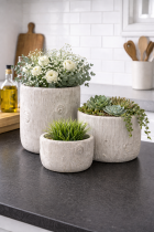 Rustic planters with lush greenery