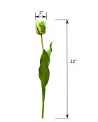 ST-WTP-GRWH-22R--4