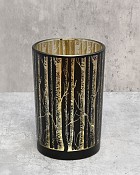 Birch-Tree2