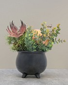 Wicked-Cauldron-3