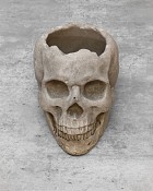 Skelaton3