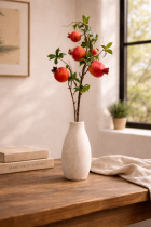 Vibrant pomegranate branch in sunlight