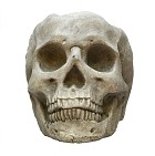 Skelaton5