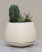 002-3