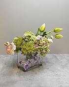 Arrangement222