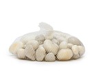 River-Rocks-White-Small-2