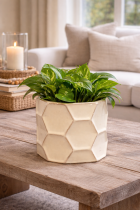 Lush pothos in honeycomb planter