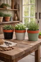 Rustic gardening essentials on a wooden table