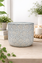 Elegant ceramic planter in bright setting