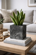 Stone planter with snake plant centerpiece