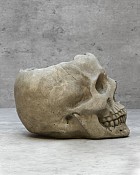 Skelaton2