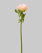 ST-WRN1-PKW-22N-1